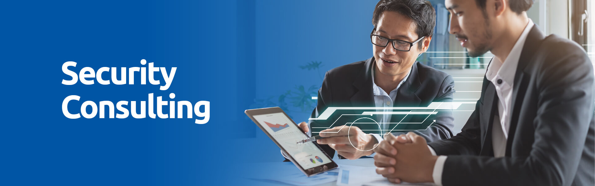 security consultation